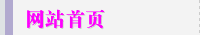 网站首页